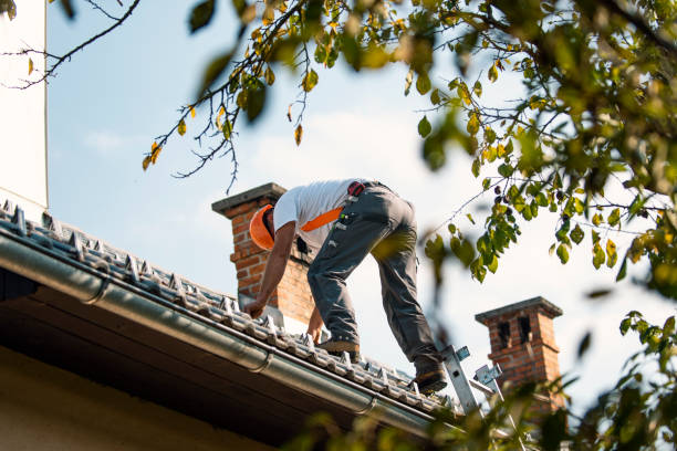 Best Roof Gutter Cleaning  in Black Diamond, FL