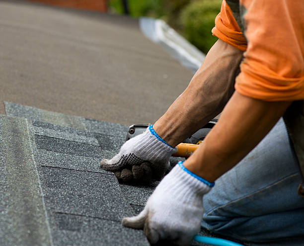 Best New Roof Installation  in Black Diamond, FL