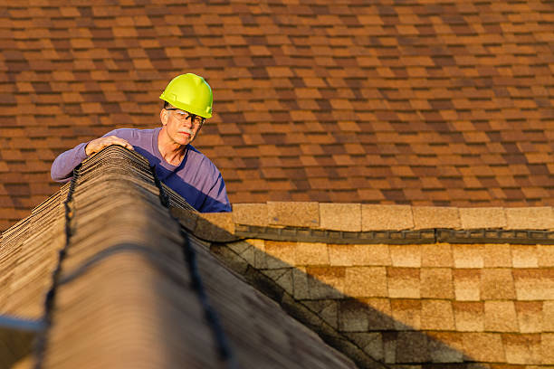 Best New Roof Installation  in Black Diamond, FL