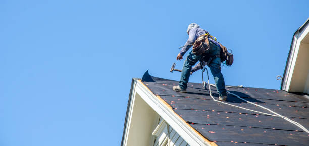 Best Gutter Installation and Roofing  in Black Diamond, FL